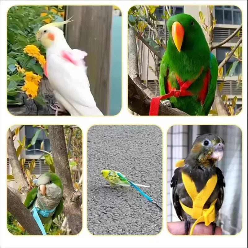 NONECN Parrot Harness Leash Set For Cockatiels Outdoor Flying