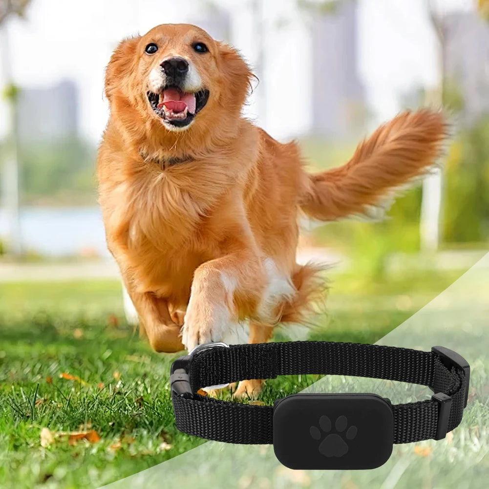 NovaSphere Pet Tracker GPS Collar Android iOS No Monthly Fee