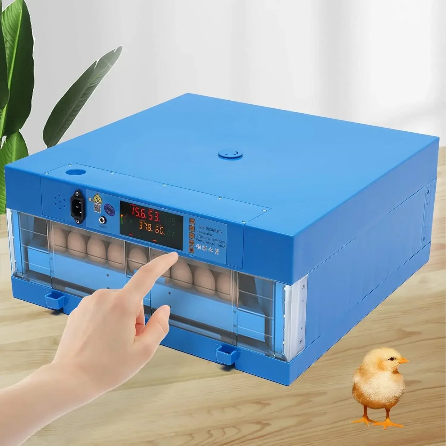 64 Egg Incubator 110V 12V Digital Automatic Smart Household Box