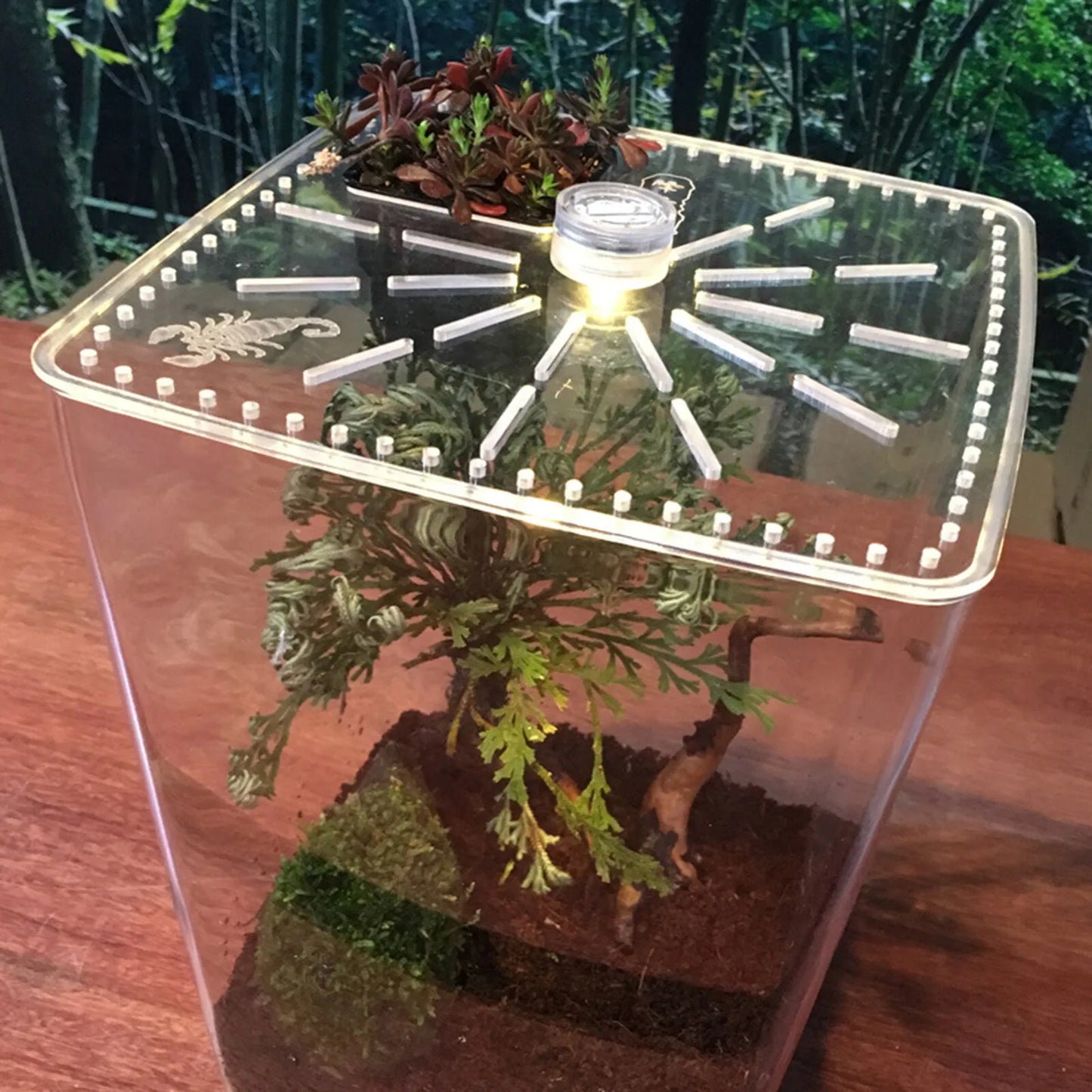 Bymaocar Acrylic Reptile Terrarium Vivarium Cage Enclosure