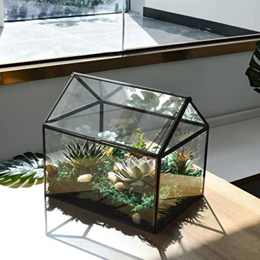 Glass Plant Terrarium For Indoor Succulents With Base
