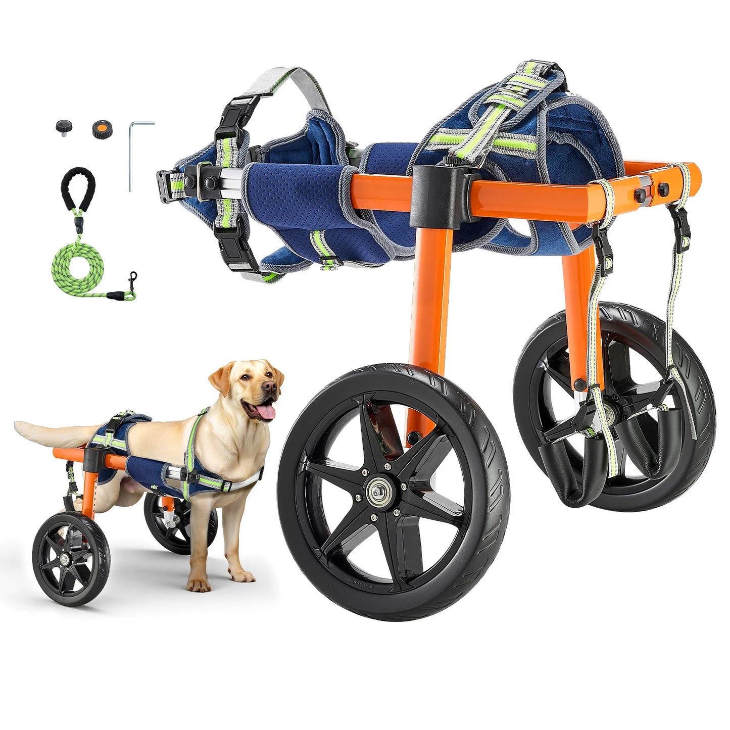 Dog Wheelchair For Back Legs Adjustable Two Wheels Lightweight Cart