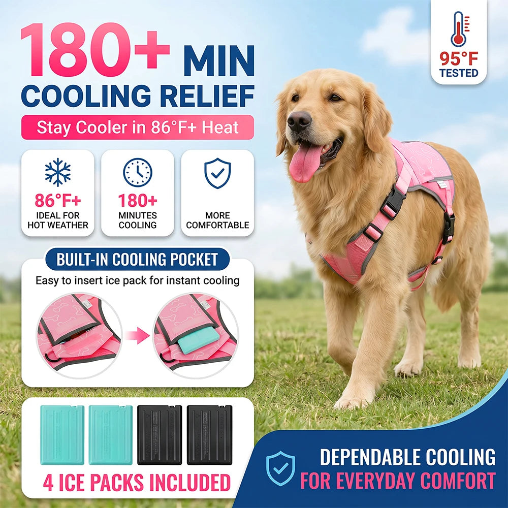 Lightweight Cooling Vest For Dogs With Replaceable Packs Outdoors