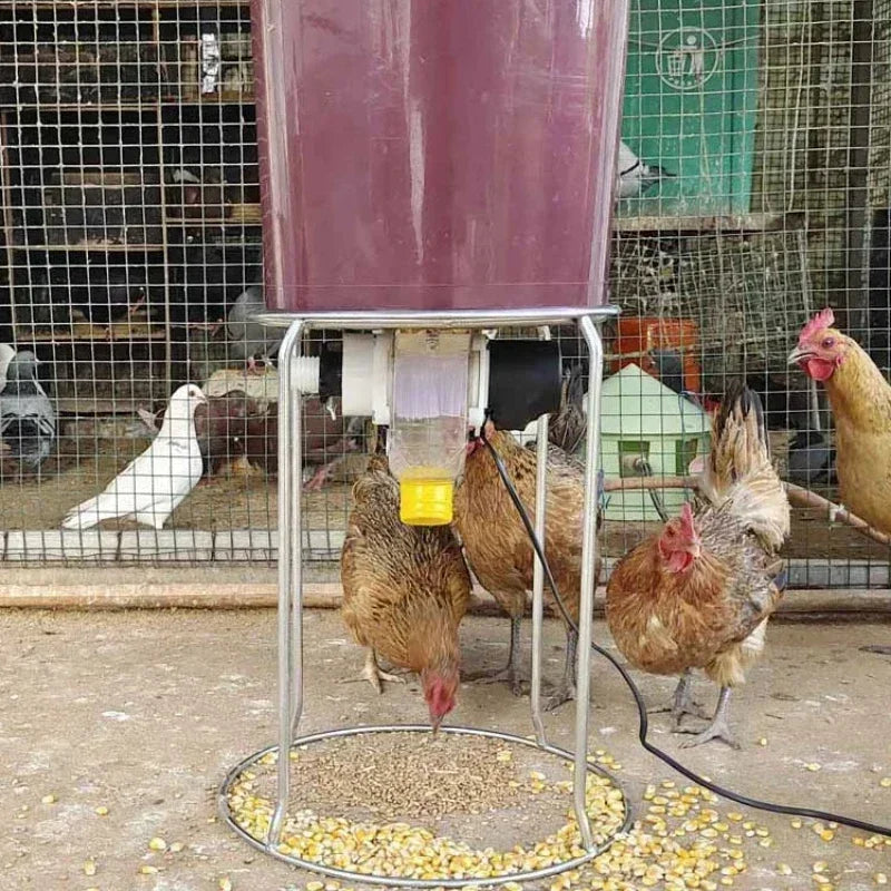 Automatic Poultry Feeder For Chicken Duck Pigeon With Timed Dispense