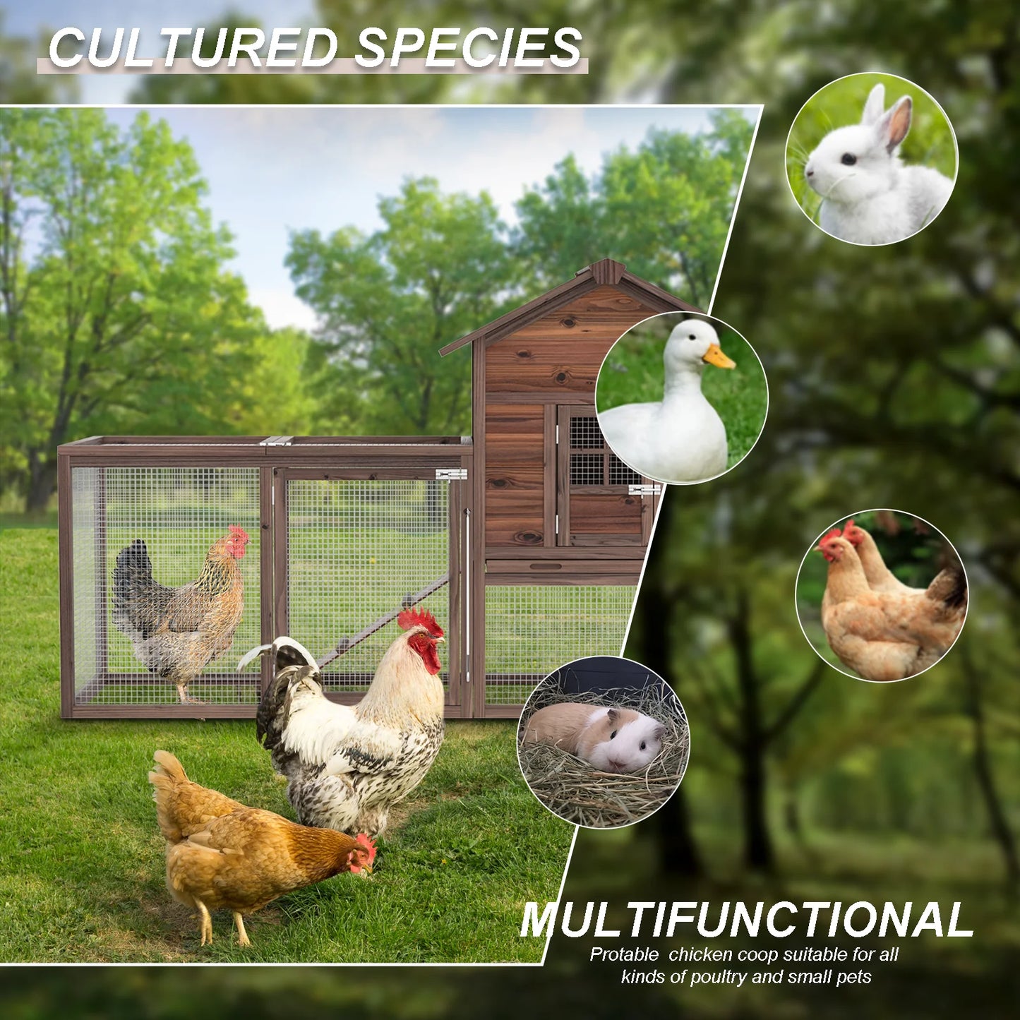 Hign-concerned Chicken Coop For 5 Chickens Nesting Box And Run