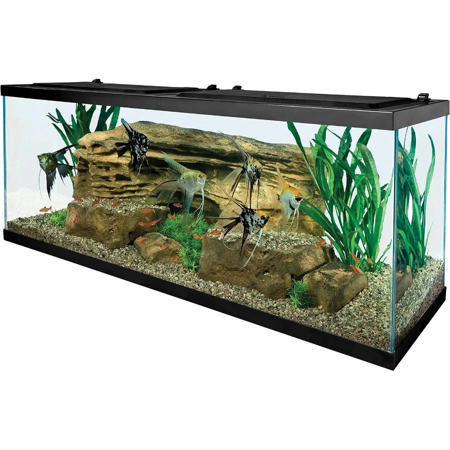 Rectangular Glass Aquarium With Built In Filtration For Home Or Office