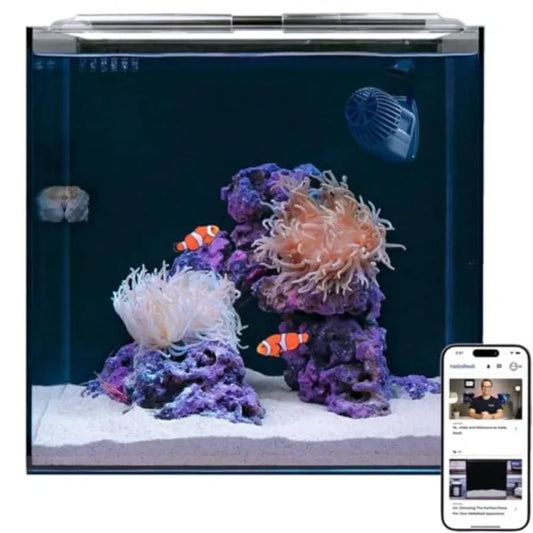 Hign Concerned Saltwater Aquarium Kit With App Controlled LED Lighting