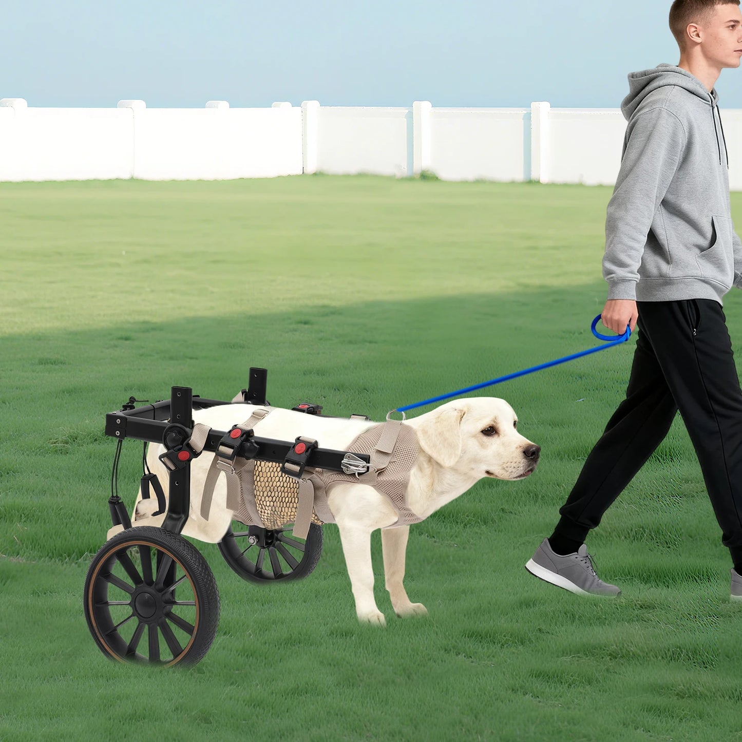 Bymaocar Adjustable Aluminum Dog Wheelchair Supports 65kg Hind Leg Support
