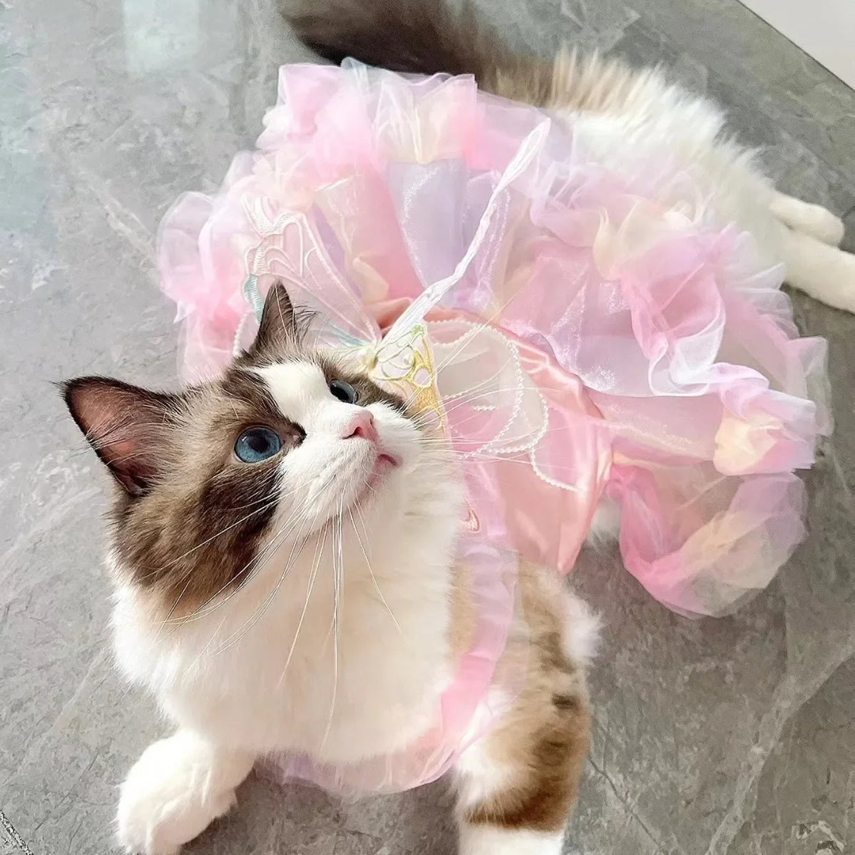 Dog Cat Princess Dress With Lace Skirt Stripe Pattern Apparel