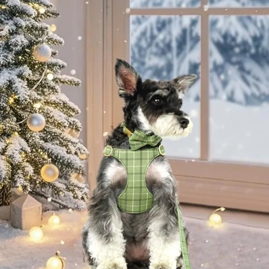 Dog Harness Collar And Leash Set With Bowtie For Pets