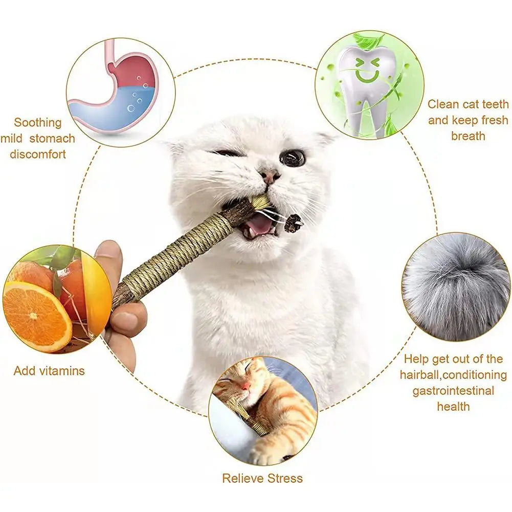 Natural Cat Chew Stick With Catnip For Teeth Cleaning