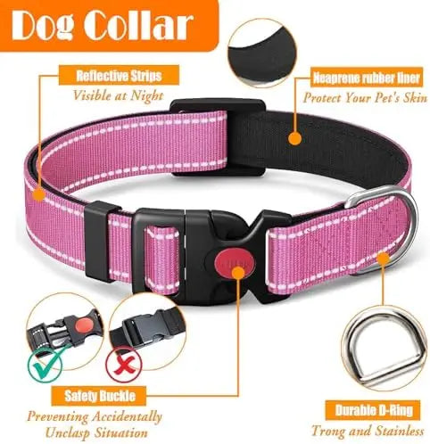 YTYIN No Pull Dog Harness Collar And Leash Training Kit