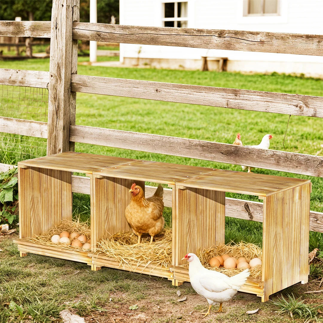 BINGOPAW 3 Compartment Pine Wood Chicken Nesting Box For Egg Laying