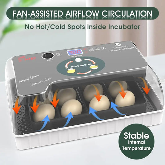 12 Egg Incubator With Automatic Turner And Temperature Control
