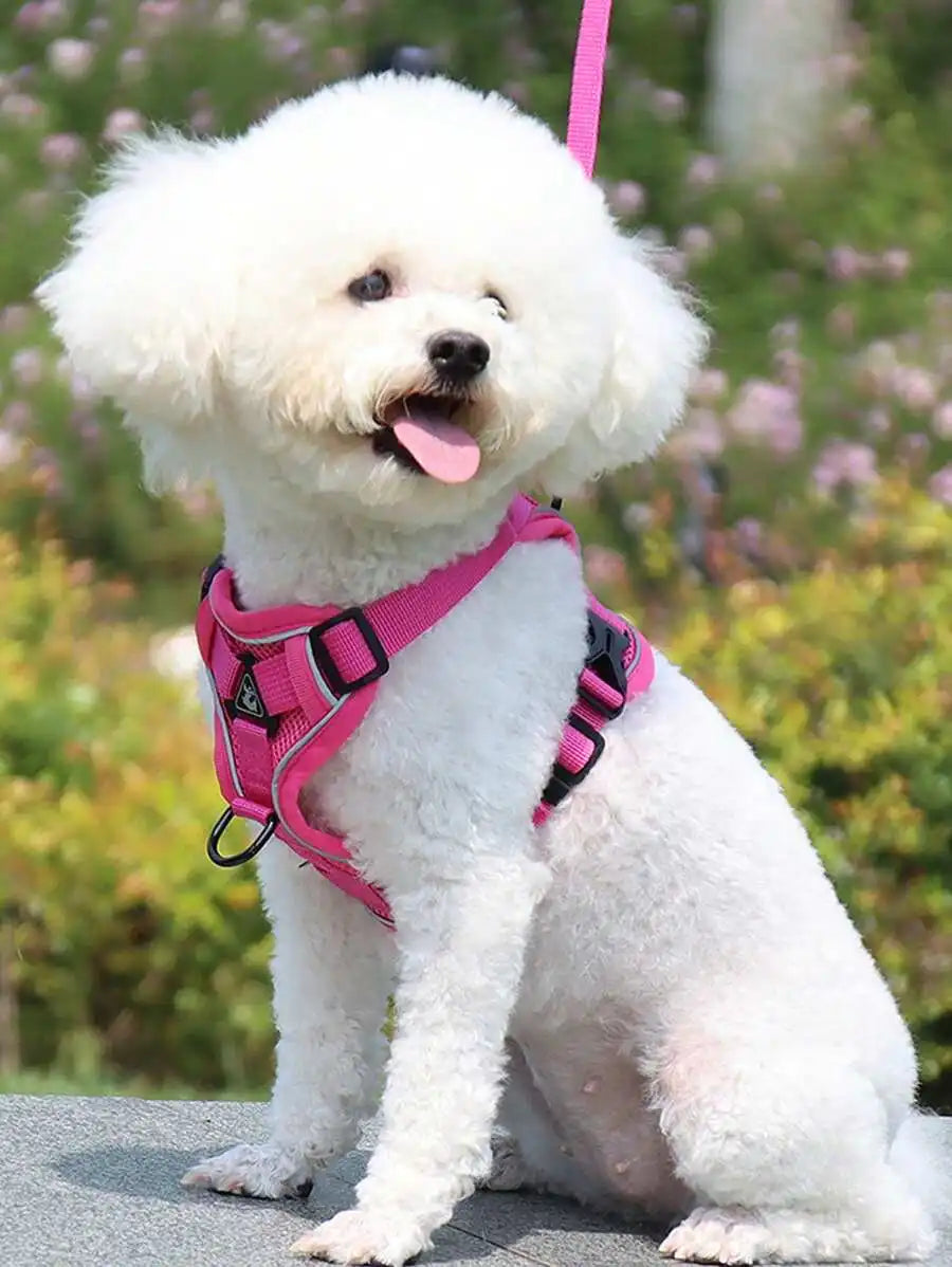 Reflective Pet Harness and Leash Set for Cats and Dogs
