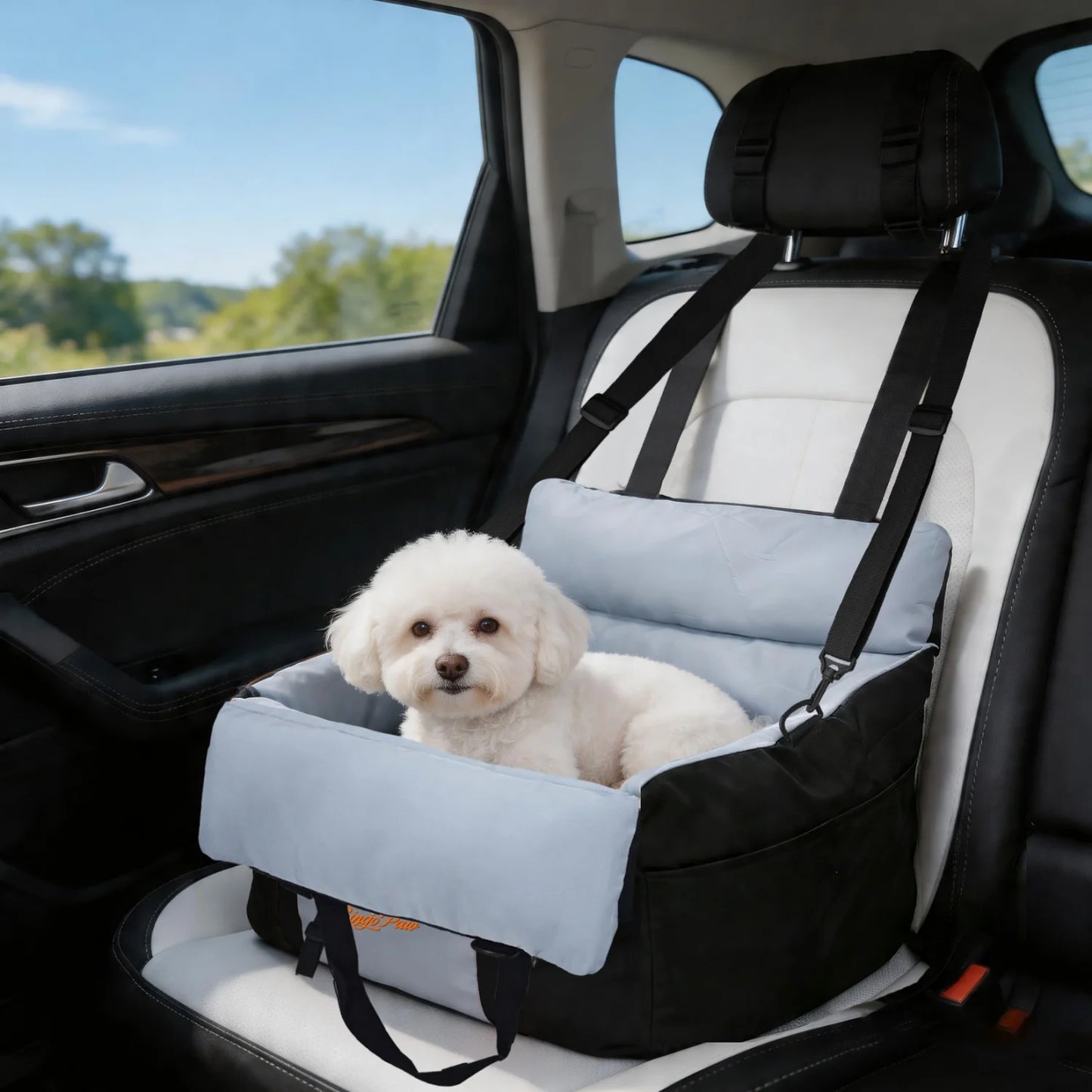 BINGOPAW Small Dog Car Seat Booster With Safety Belt