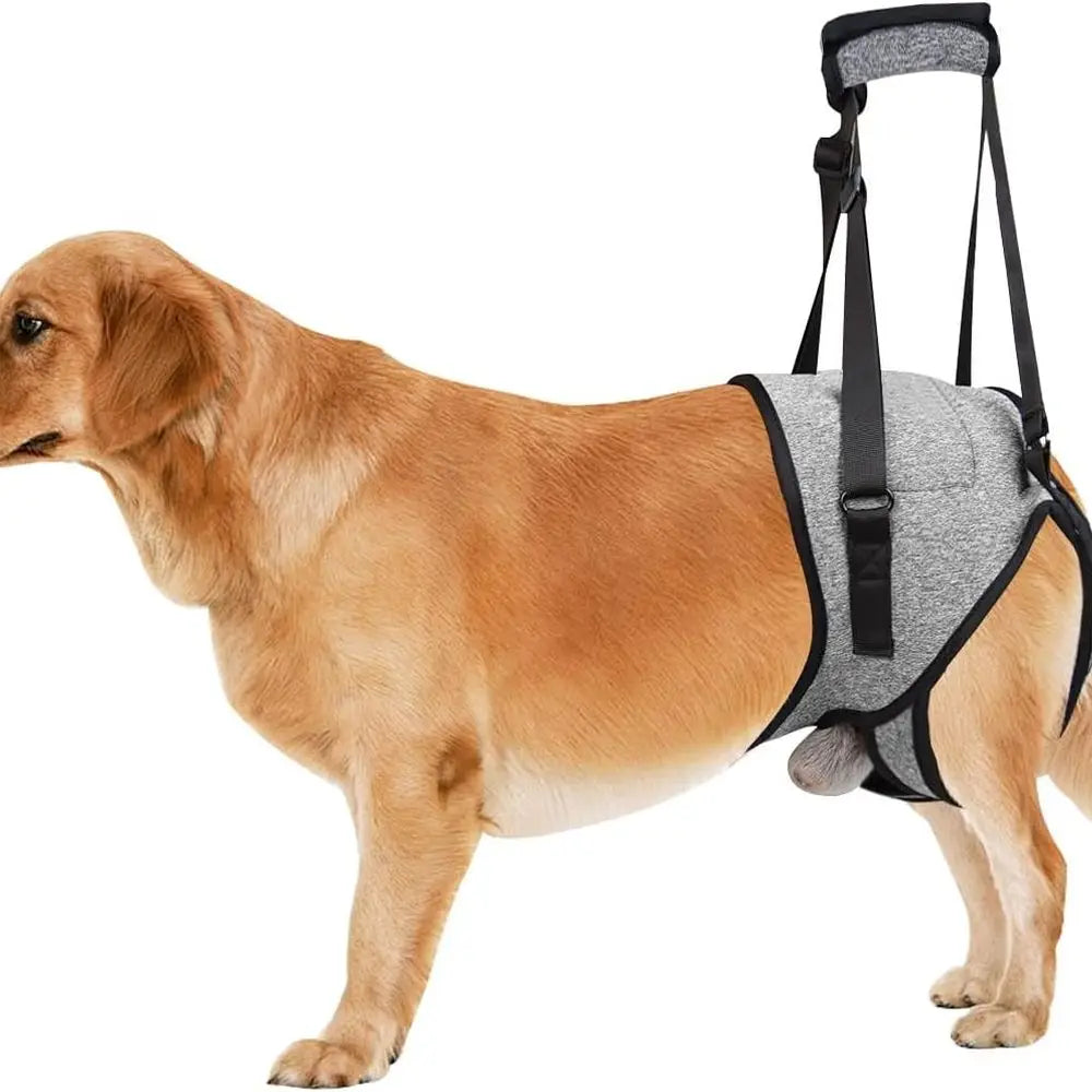 OVOZI Dog Support Sling Harness for Elderly or Injured Dogs