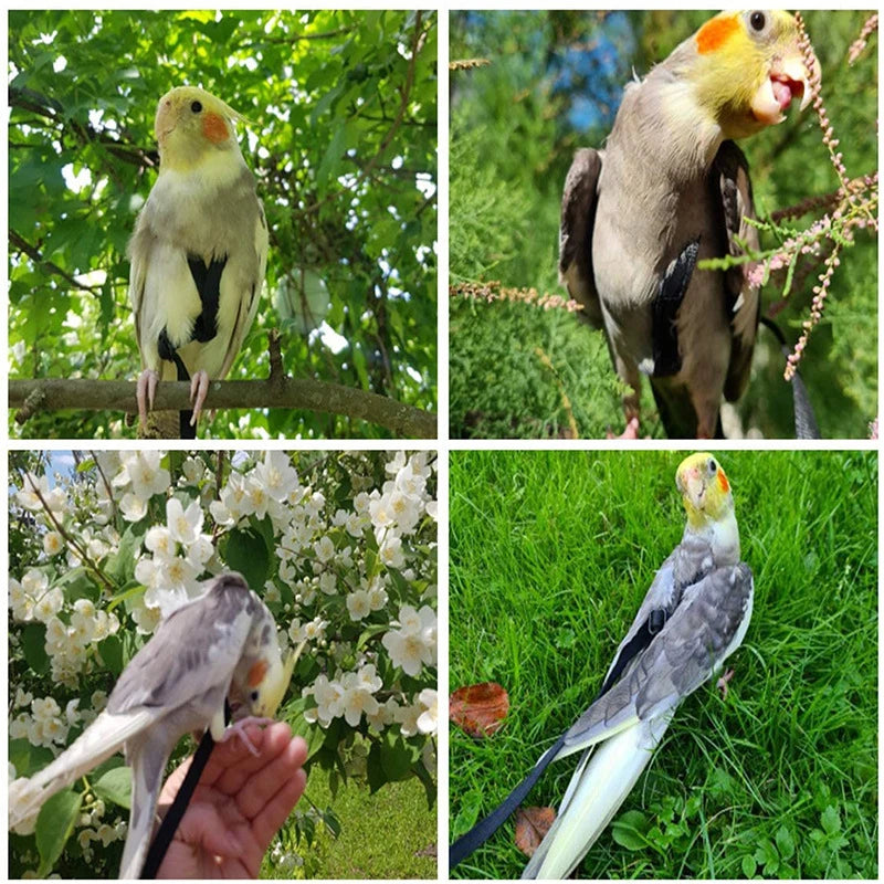 Training Flying Traction Rope Bird Leash Parrot Harness