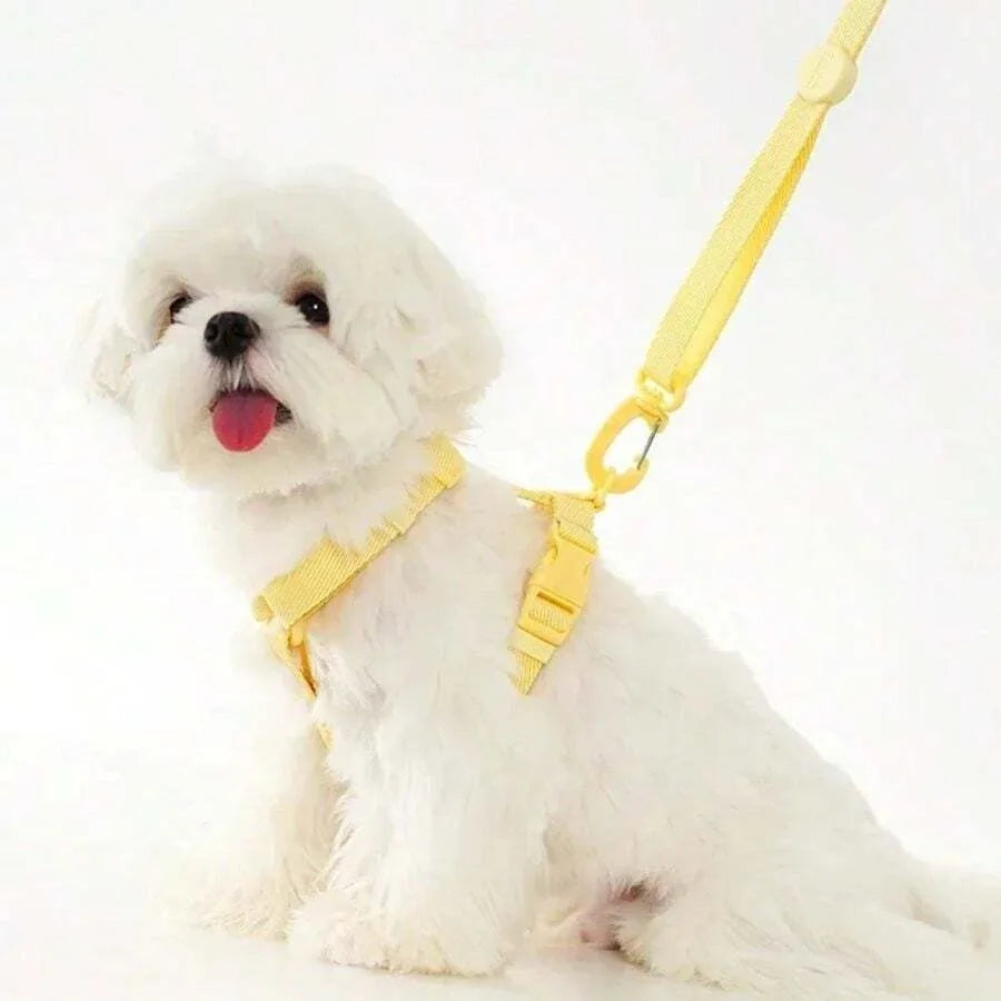Adjustable Dog Harness and Leash Set Reflective for Small Dogs