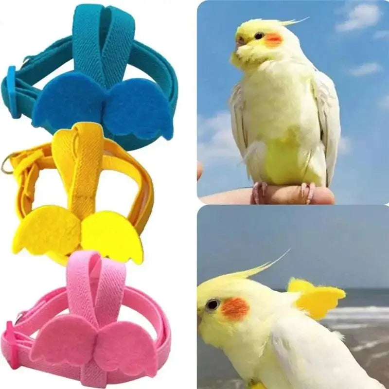 NONECN Parrot Harness Leash Set For Cockatiels Outdoor Flying