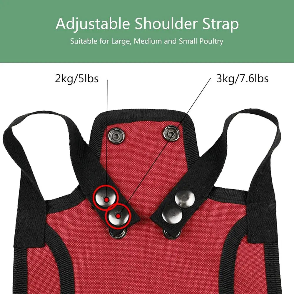Three Piece Chicken Suit Set With Stretchy Straps Hen Protector
