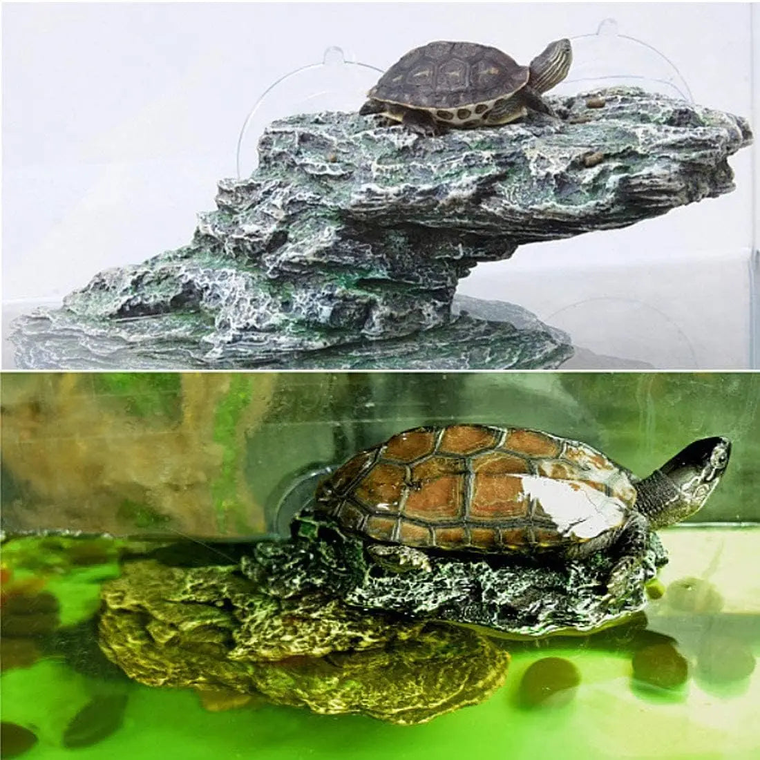 Hign-concerned Turtle Bathing Platform With Gentle Exercise Ramp For Small Reptiles Enclosures