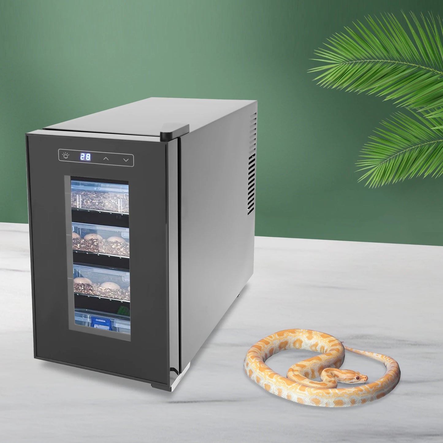 Bymaocar Reptile Egg Incubator With Precise 50-104 Fahrenheit Digital Thermostat