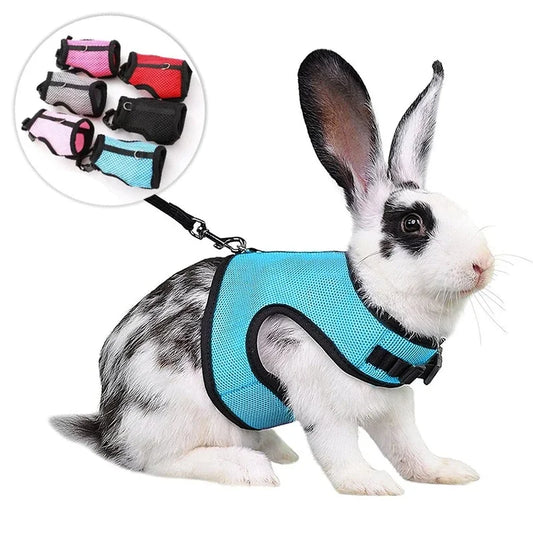 Multicolor Breathable Pet Carrier Harness And Leash Set For Rabbits
