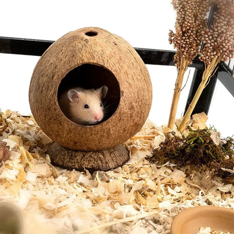Zhejiang Hamster House Bite Resistant Natural Wooden Hideout