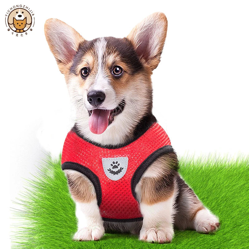 Dog Harness Leash Adjustable Mesh Vest For Walking Pets Daily