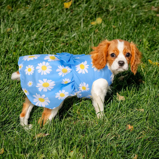5 Pack Floral Bowknot Dog Dresses For Small Dogs Summer