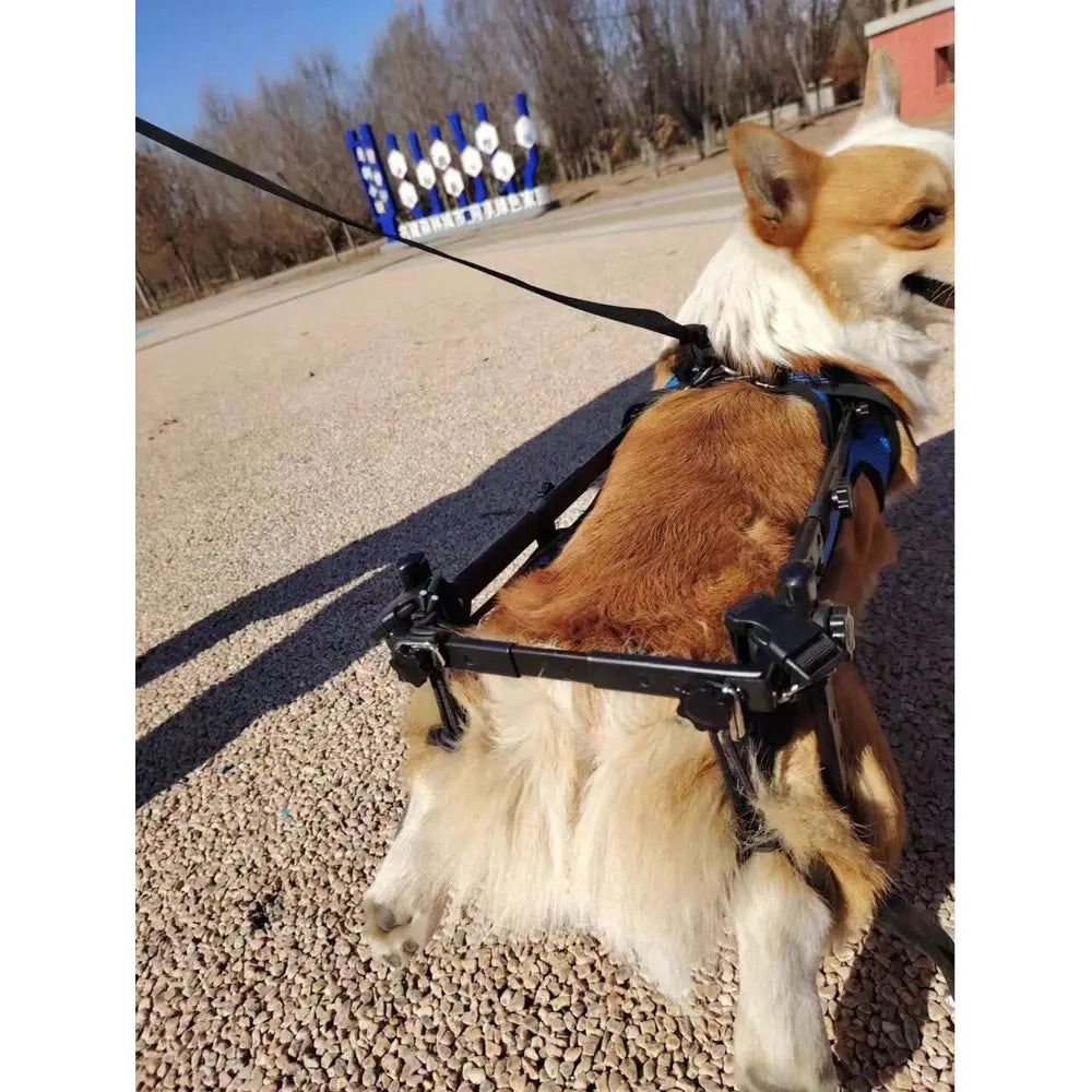 XMSJ Adjustable Lightweight Dog Wheelchair With Rear Leg Support