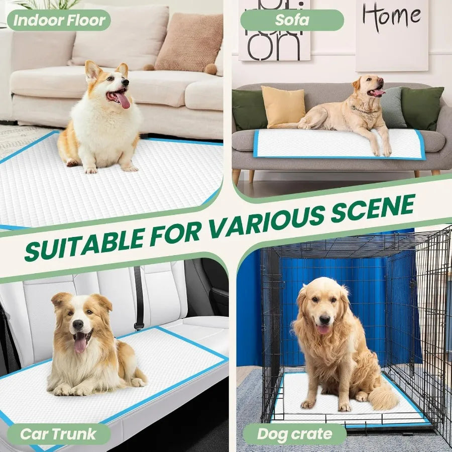 Hign-concerned 100 Count Pee Pads for Dogs and Puppies