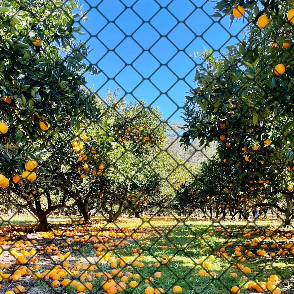 Chicken Coop Netting Nylon Bird Mesh For Garden Fruit Trees