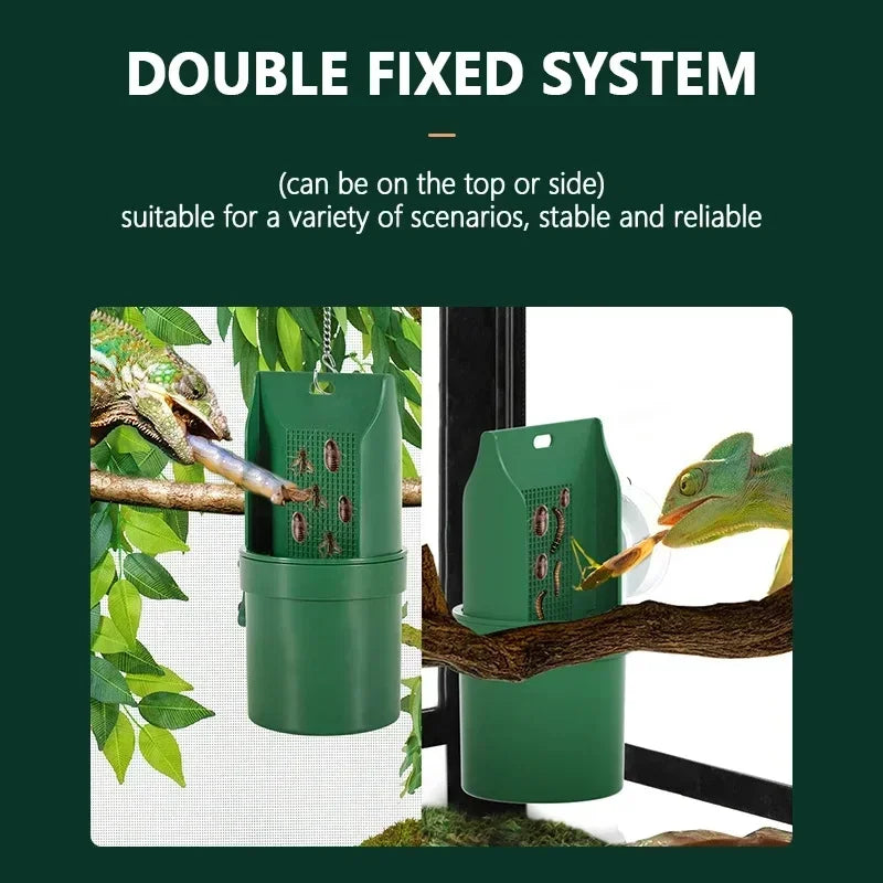 Hign-concerned Reptile Water Drinker Durable Materials Amphibian Terrarium Feeder