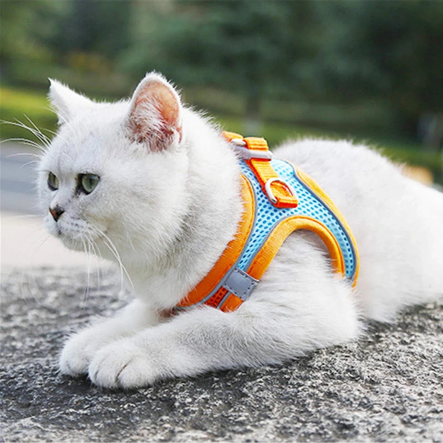 Reflective Cat Harness And Leash Set Adjustable For Cats And Small Dogs