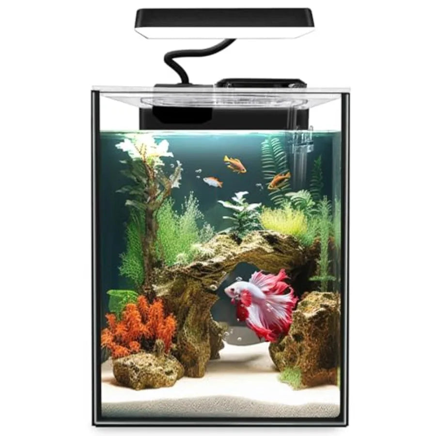 Glass Betta Aquarium Starter Kit With LED Light And Filter