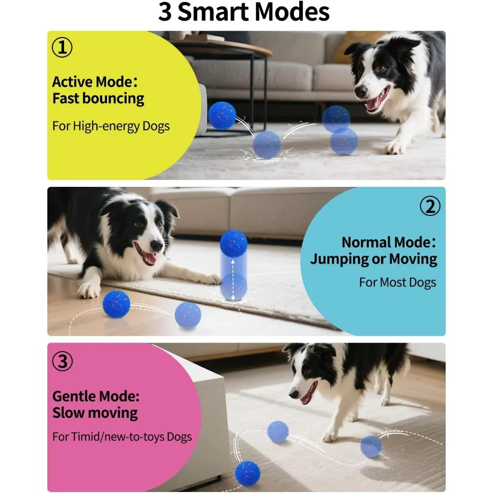 Hign-concerned Interactive Automatic Ball Toy For Dogs