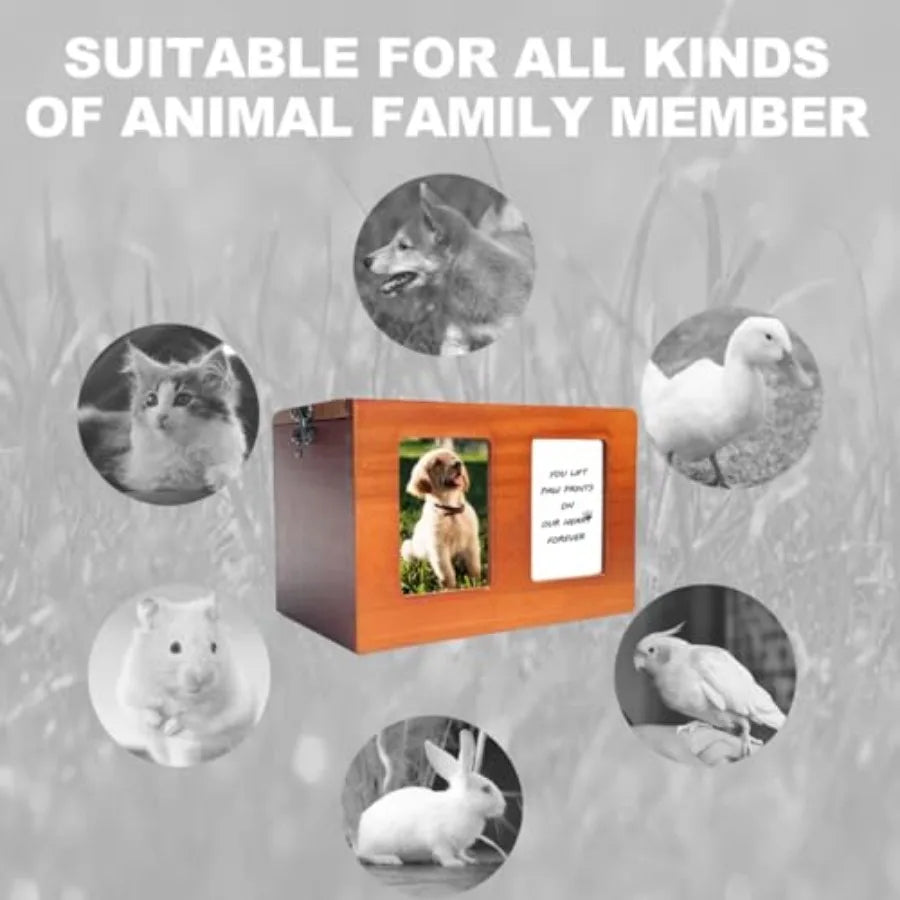 Pet Urn With Photo Frame For Dog Cremation Memory Box
