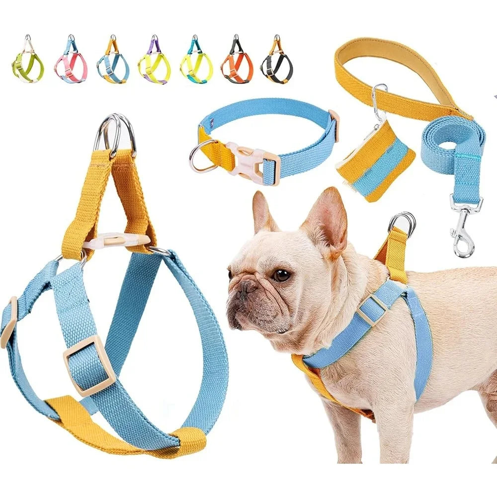 XMSJ No Pull Dog Harness Set With Leash Poop Bag