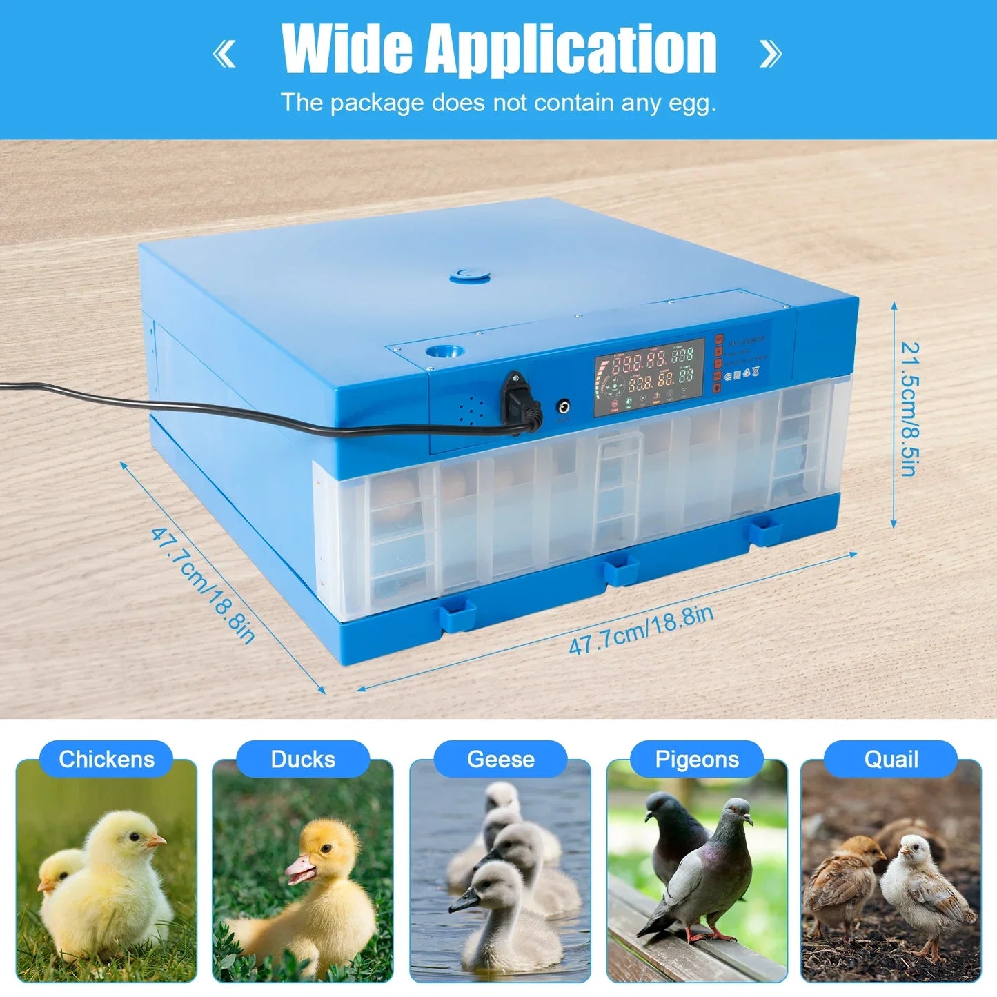 48 Eggs Hatching Incubator Automatic Digital Display AC110V DC12V