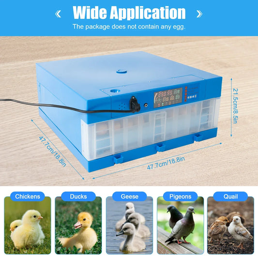 48 Eggs Hatching Incubator Automatic Digital Display AC110V DC12V
