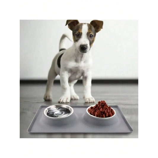 No Spill Dual Pet Feeder Bowls With Silicone Mat Set