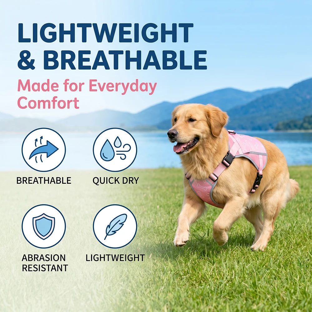 Lightweight Cooling Vest For Dogs With Replaceable Packs Outdoors