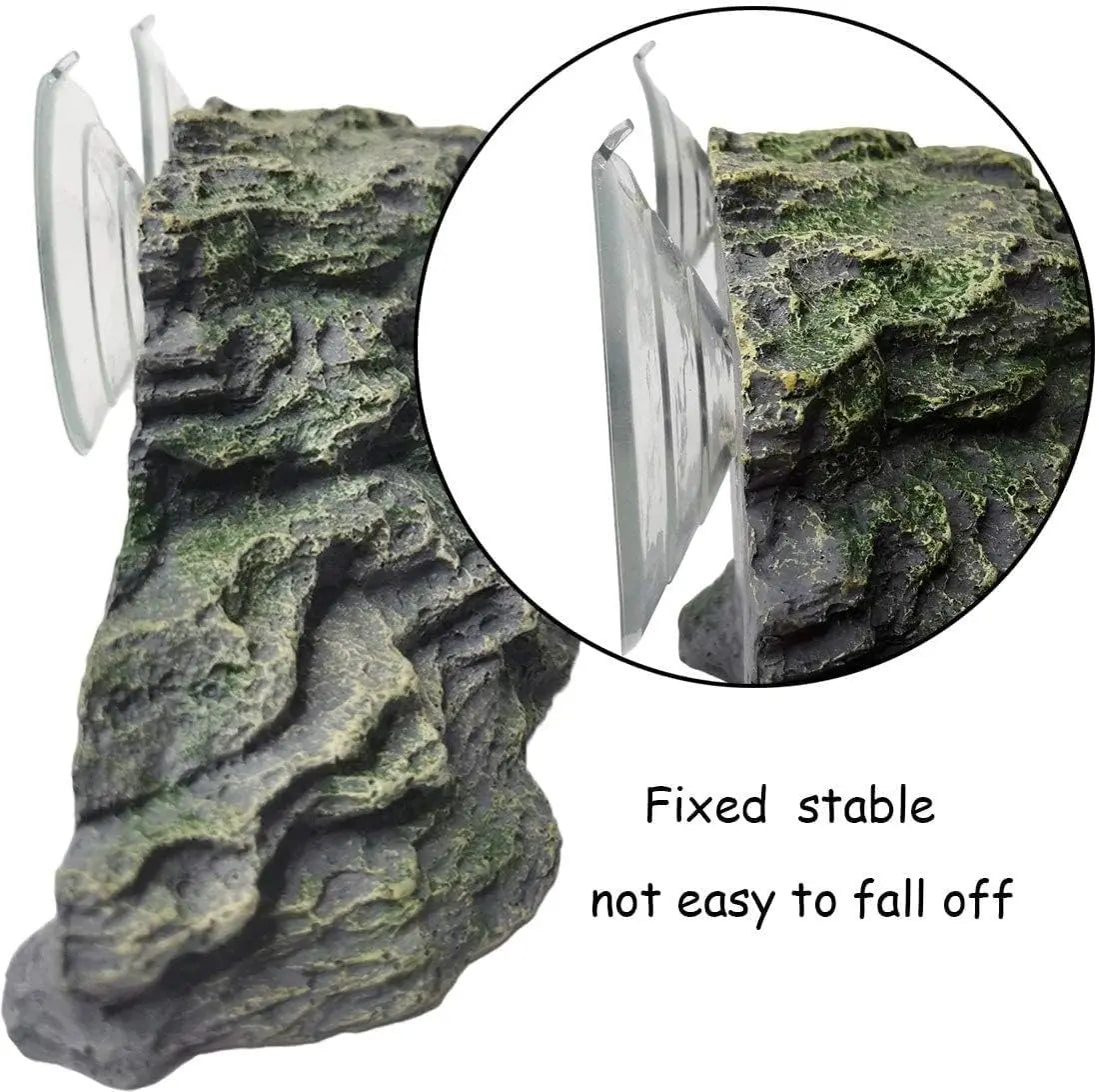 Hign-concerned Turtle Bathing Platform With Gentle Exercise Ramp For Small Reptiles Enclosures