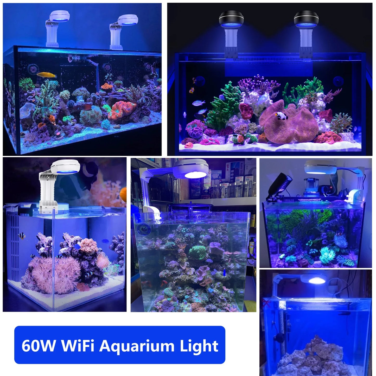 PopBloom WiFi Marine Aquarium LED Light RL60 RL90 for Reef