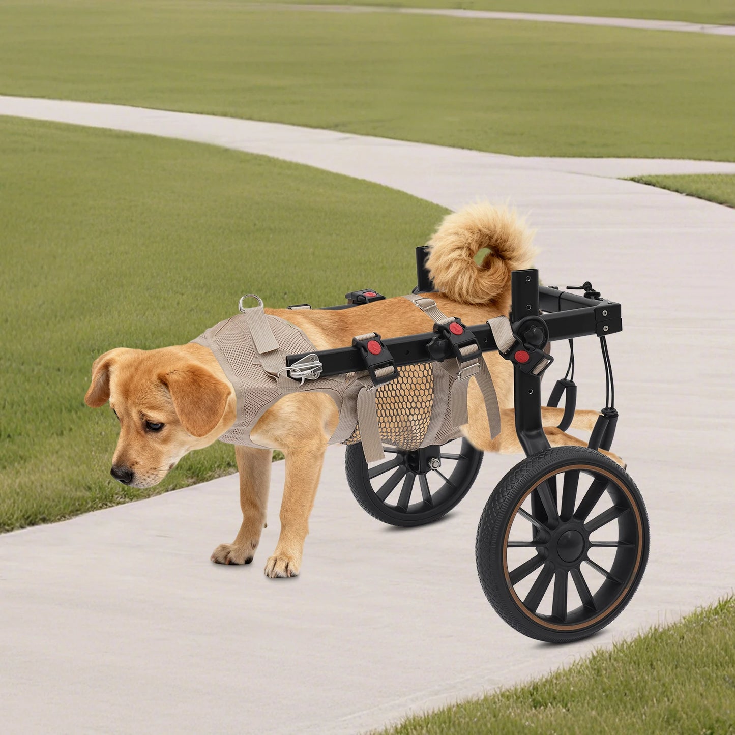 Pet Walking Aid Adjustable Dog Wheelchair for Hind Legs