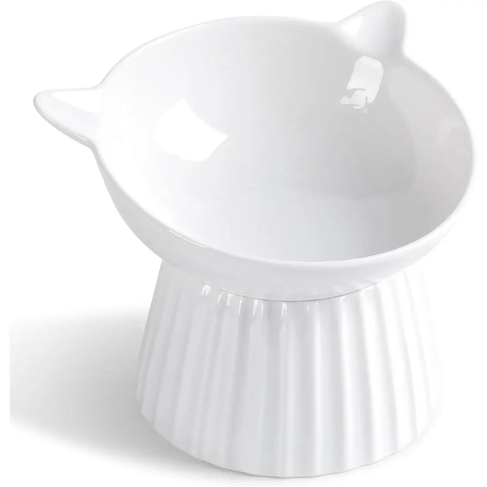 Raised Cat Bowl For Indoor Cats Anti Vomit Easy Clean