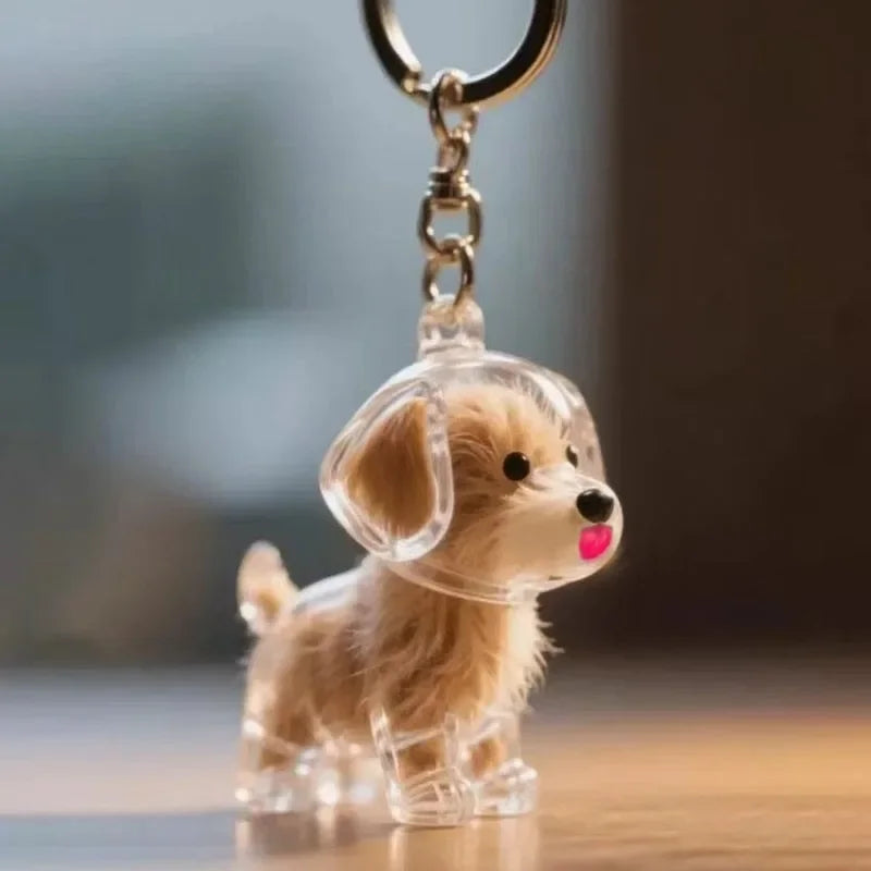 Cute Dog Hair Storage Keychain Plastic Transparent Fur Box