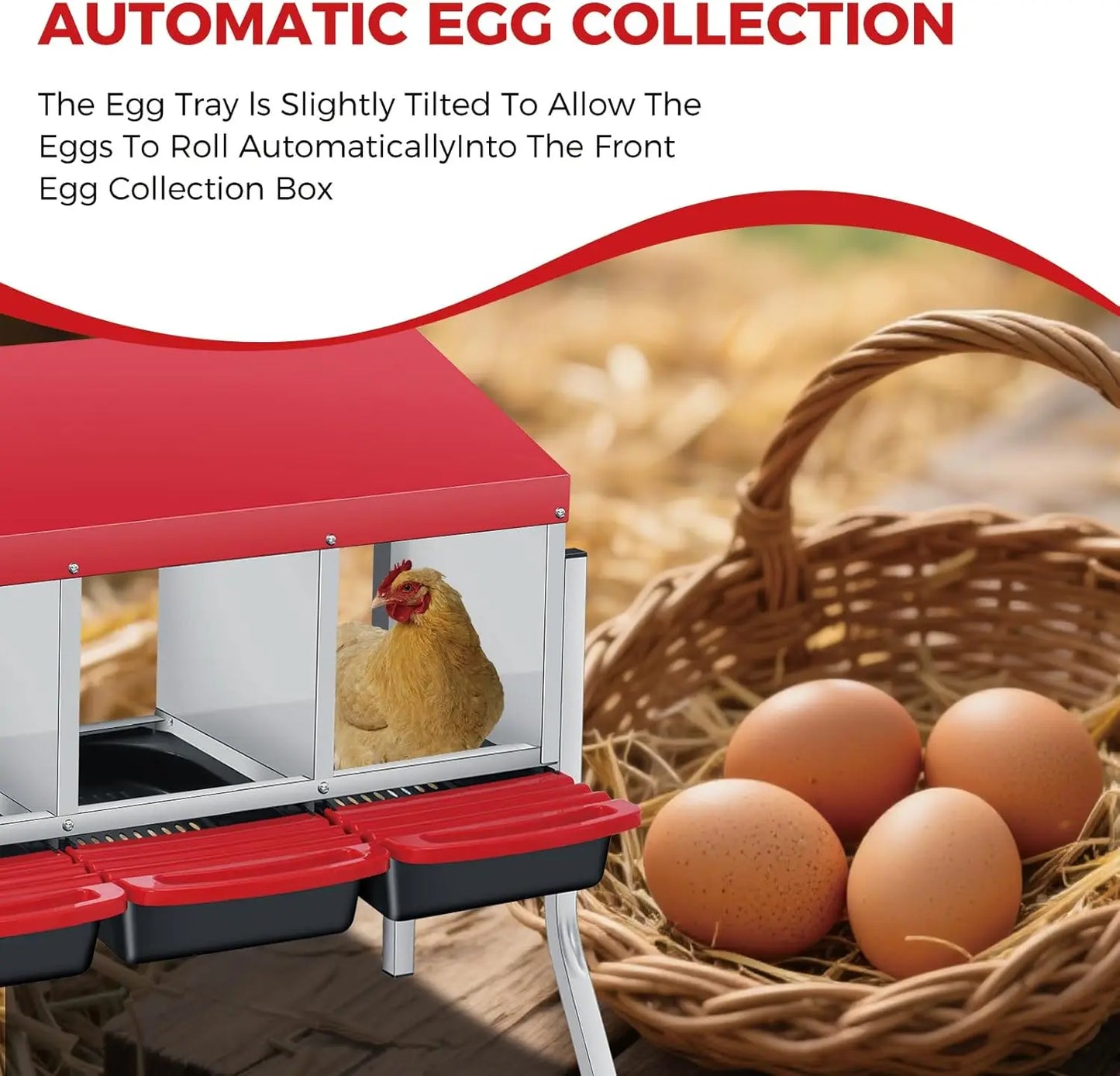 TWISTER.CK Automatic Egg Nesting Box Roll Out Collection For Hens And Ducks